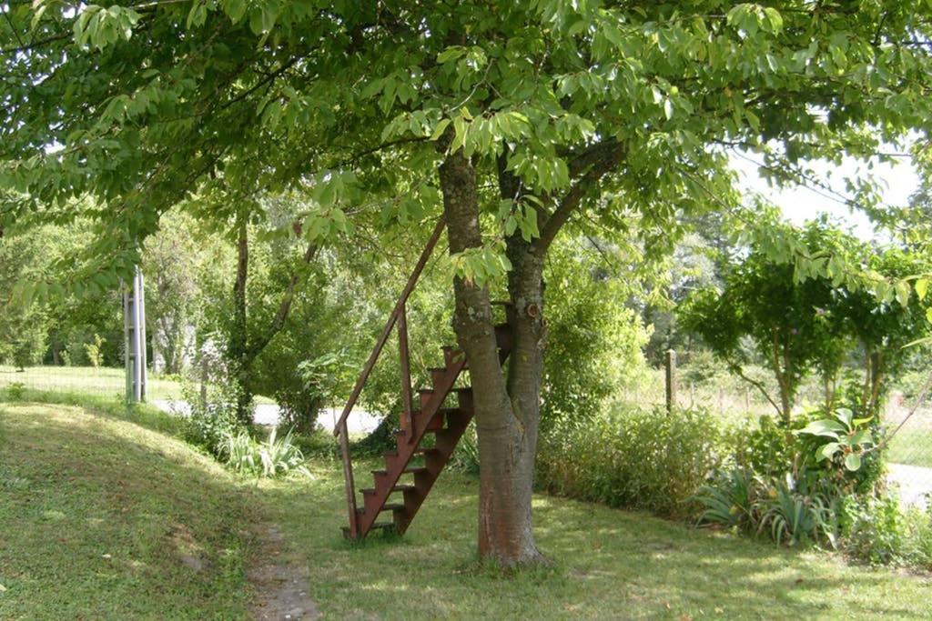 Petite Maison Au Bord Du Canal, 8' Zoo De Beauval, Pmr นอยเยส์-ซัวร์-แช ภายนอก รูปภาพ